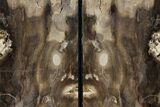 Petrified Wood Bookends - Oregon #99311-2